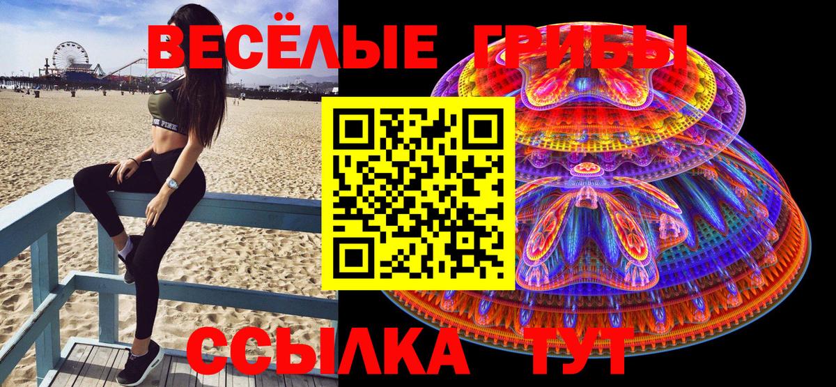 Псилоцибиновые грибы прущие грибы Родники